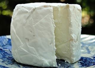 치즈 이야기 | 인스티즈