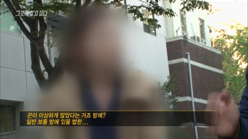 [그것이알고싶다] 엽기토끼와 신발장 - 신정동 연쇄살인사건의 마지막 퍼즐 | 인스티즈