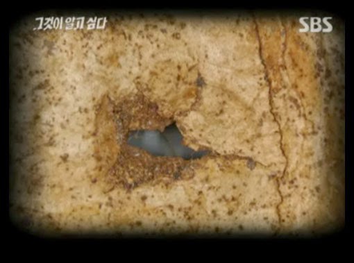 대한민국 3대 미해결 사건 - 개구리소년 실종사건 | 인스티즈