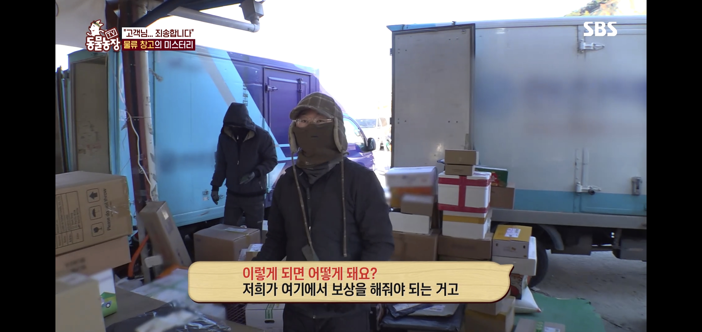오늘자 동물농장에 나온 100만원 피해 일으킨 진짜 도둑고양이들.jpg | 인스티즈