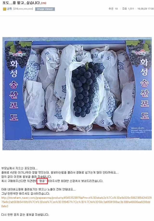 포도팔이 사기꾼 등장.jpg | 인스티즈