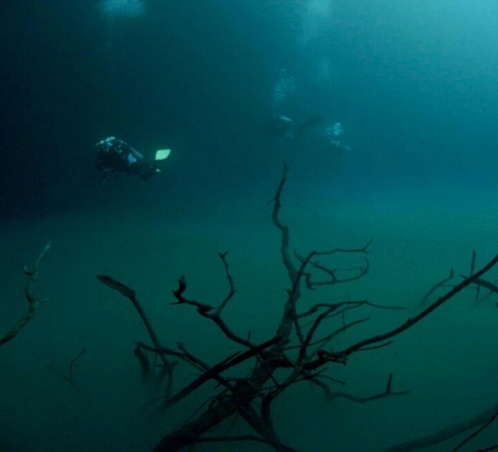 바다 밑을 흐르는 강 - 세노테 안젤리타(Cenote Angelita) | 인스티즈