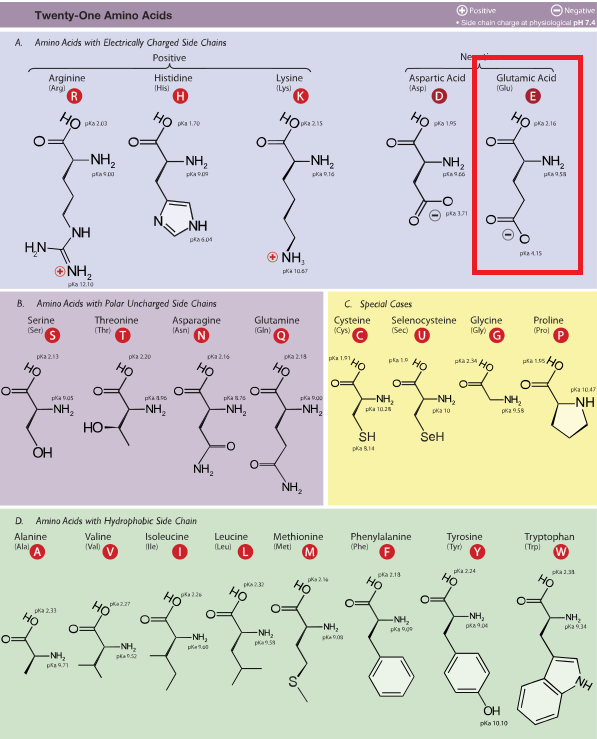 MSG(글루타민산 나트륨)이 몸에 나쁘지 않은 간단한 이유 | 인스티즈