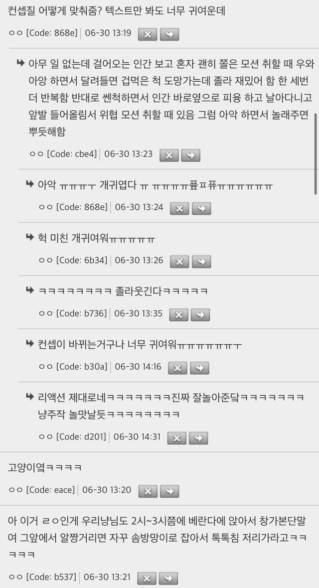 고양이들 자기만의 스케쥴 있는거 귀여움.jpg | 인스티즈