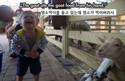 애기들이 우는 이유 | 인스티즈