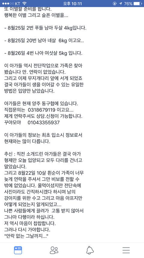 안락사명단 강아지 고양이 너무많아 꼭 봐줘..ㅠㅠ | 인스티즈