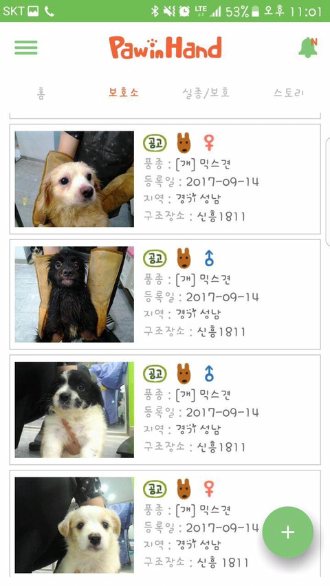 안락사명단 강아지 고양이 너무많아 꼭 봐줘..ㅠㅠ | 인스티즈