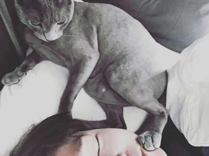 사람보다 동물이 더 많이 사는 아이돌 숙소 | 인스티즈