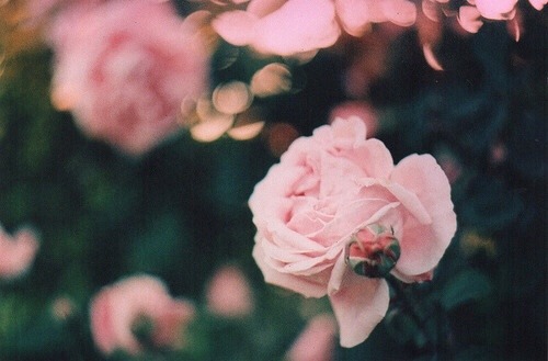  영원한 건 없다 | 인스티즈