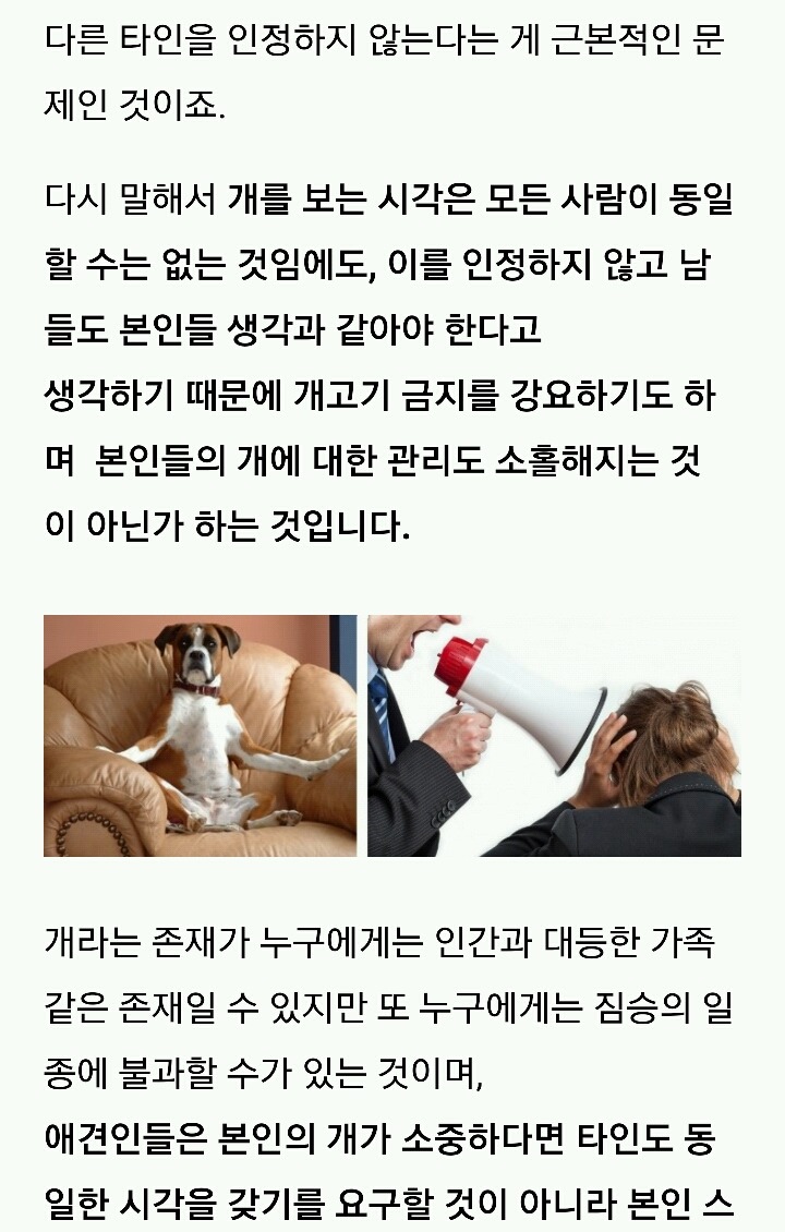 나의 반려견 매실이가 개소주가 되어 돌아온것을 알리니 사람들은 나를 개소주녀 라고 부릅니다 | 인스티즈