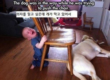 애기들이 우는 이유 | 인스티즈