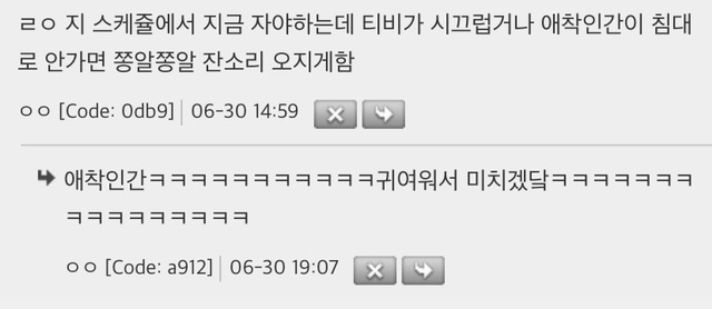 고양이들 자기만의 스케쥴 있는거 귀여움.jpg | 인스티즈