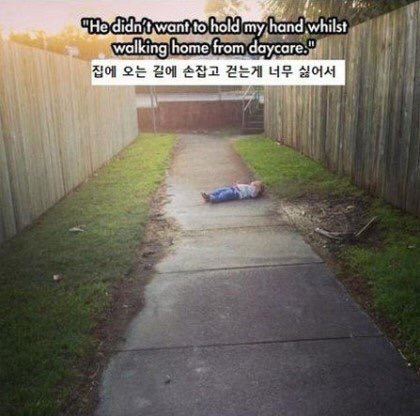 애기들이 우는 이유 | 인스티즈