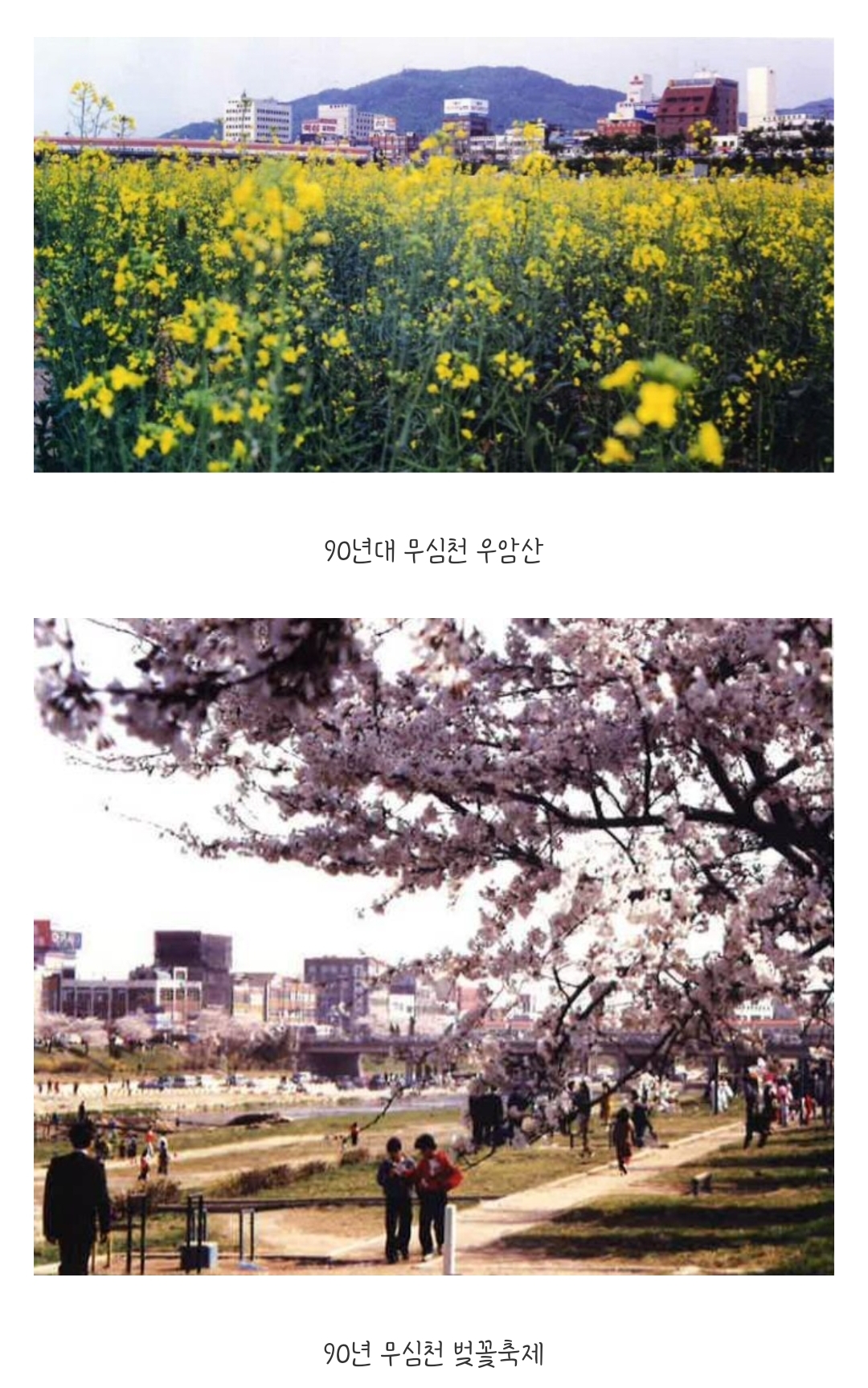 충청북도 청주시의 옛 모습.jpg | 인스티즈