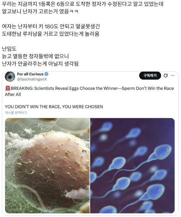 난자는 최선을 다하고 있었음 | 인스티즈