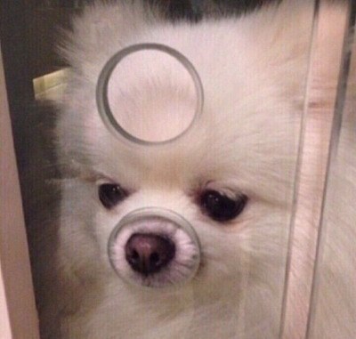 정신나간 외과의사가 아이를 사지절단하고 인형을 만든 사건 (혐오주의) | 인스티즈