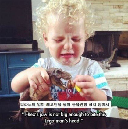 애기들이 우는 이유 | 인스티즈