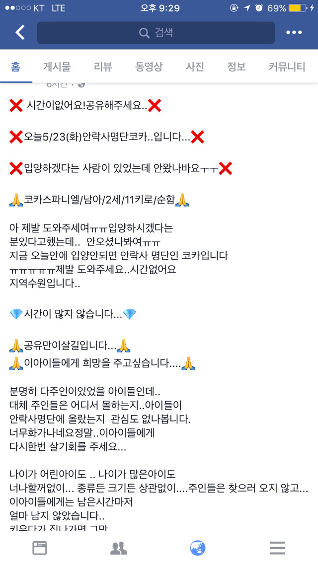 제발!!ㅠㅠ 갓태어난 고양이들,안락사명단 애기들 도와줘.. | 인스티즈