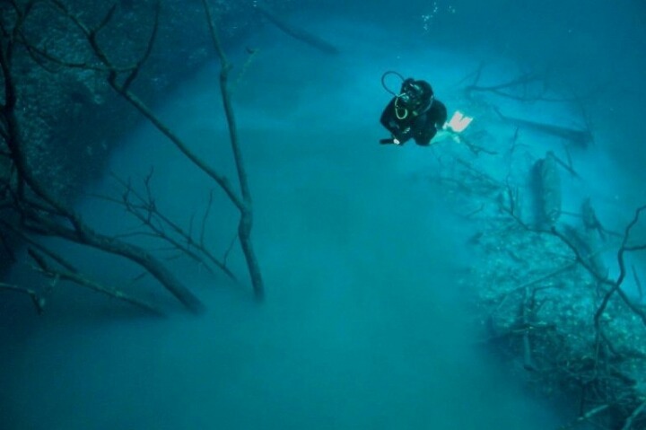 바다 밑을 흐르는 강 - 세노테 안젤리타(Cenote Angelita) | 인스티즈