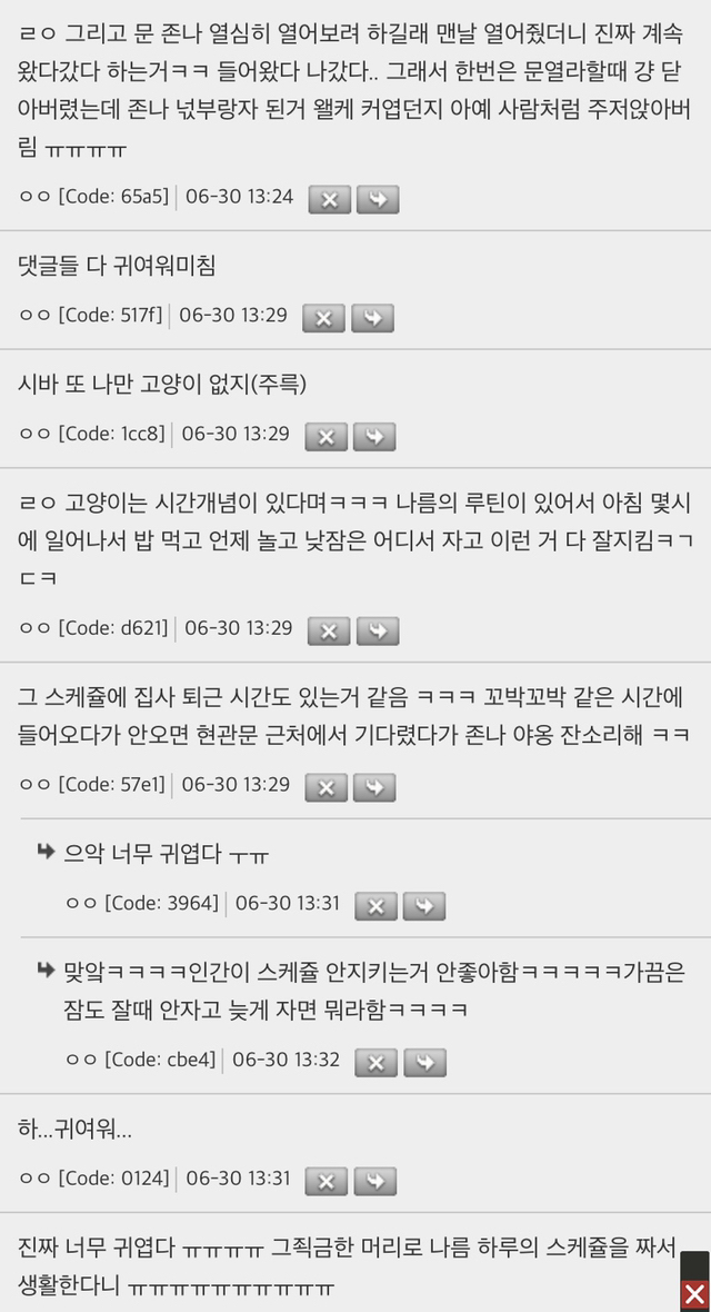 고양이들 자기만의 스케쥴 있는거 귀여움.jpg | 인스티즈