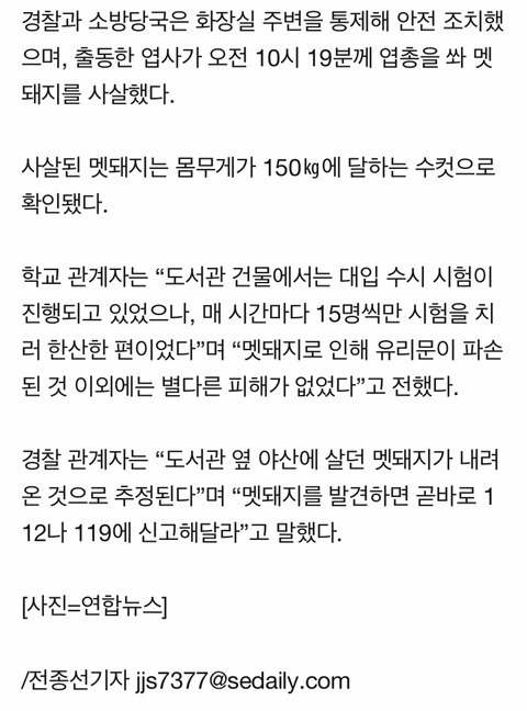 대학 도서관에 멧돼지 출몰···난동부리다 1시간만에 사살 | 인스티즈