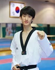 [리우올림픽] 금빛 발차기 태권도, 새로운 경기 규칙 및 한국 선수 소개 | 인스티즈