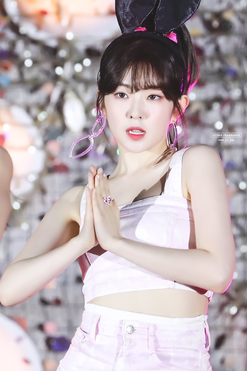 아이린 비쥬얼은 개쩔었던 짐살라빔 활동jpgif (사진多,데이터폭탄주의) | 인스티즈