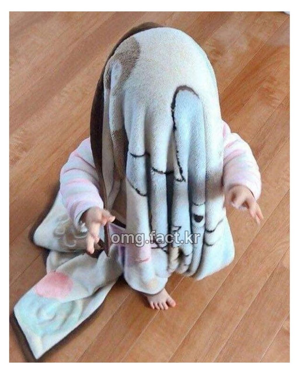 숨바꼭질 처음해보는 아기가 숨는방법 | 인스티즈