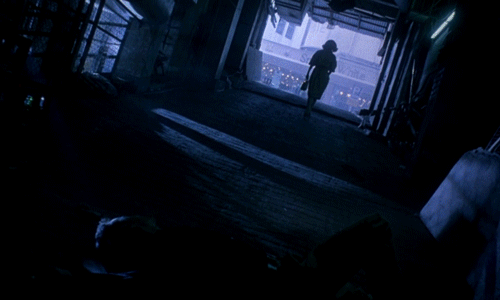 왕가위가 3주만에 찍은 영화.gif | 인스티즈