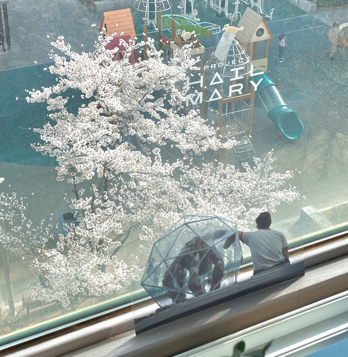 실시간 프로젝트 헤일메리 해외팬들 부러워서 울고있는 한국 굿즈 ㅅㅍ | 인스티즈