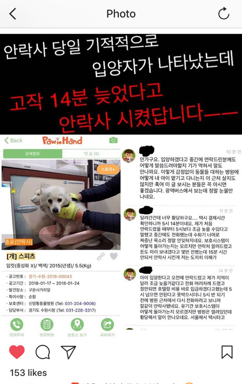 안락사 직전 강아지 입양의사밝혔는데 14분늦었다고 안락사시킨 사건 | 인스티즈