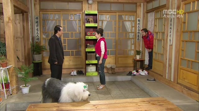 [지붕킥] 한옥집에 입대(?)한 해리와 신애 | 인스티즈