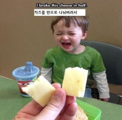 애기들이 우는 이유 | 인스티즈