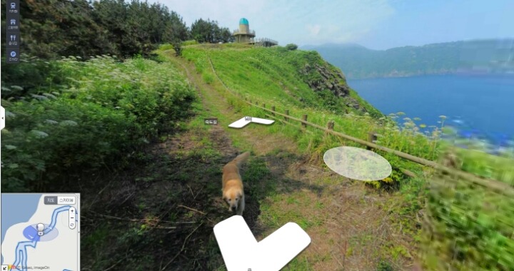다음 로드뷰 울릉도 죽도 강아지.jpg | 인스티즈