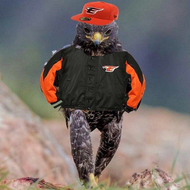 어이ㅡ 독일 고개를 들어라 | 인스티즈