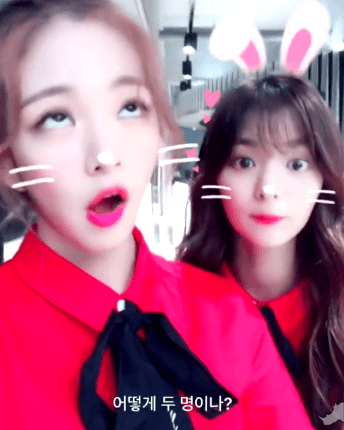 [프로미스나인] 덩치값 못하는 커요미 이채영 | 인스티즈