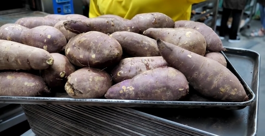 해남 고구마빵.jpgif | 인스티즈