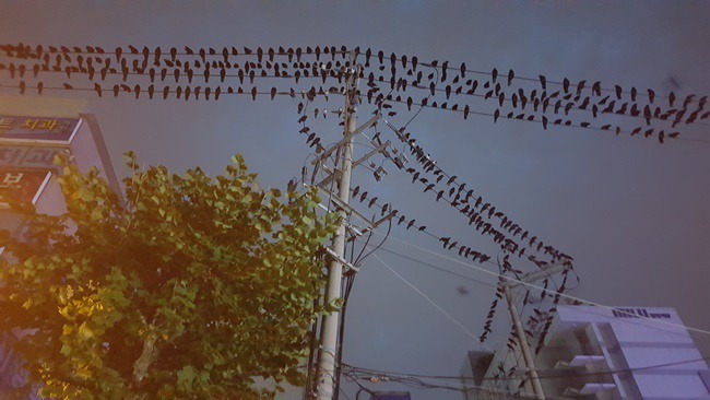 수원 까마귀 정모 시작.JPG | 인스티즈