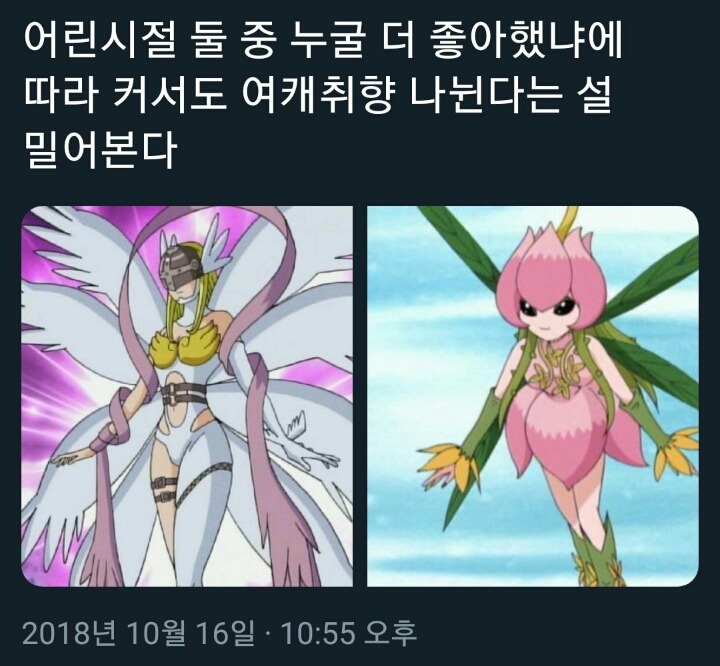 어린시절 누굴 좋아했느냐에 따라 여캐 취향이 나뉜다는 캐릭터 둘 | 인스티즈