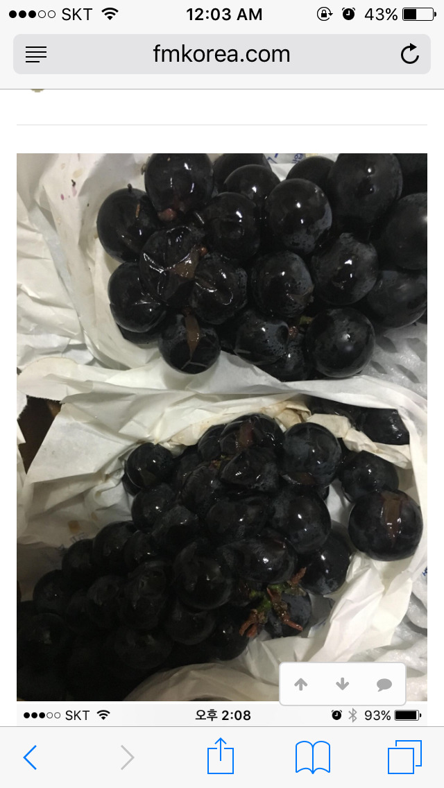 포도팔이 사기꾼 등장.jpg | 인스티즈