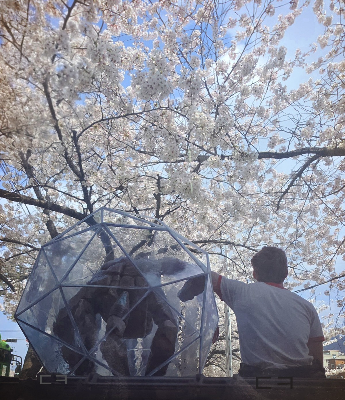 실시간 프로젝트 헤일메리 해외팬들 부러워서 울고있는 한국 굿즈 ㅅㅍ | 인스티즈