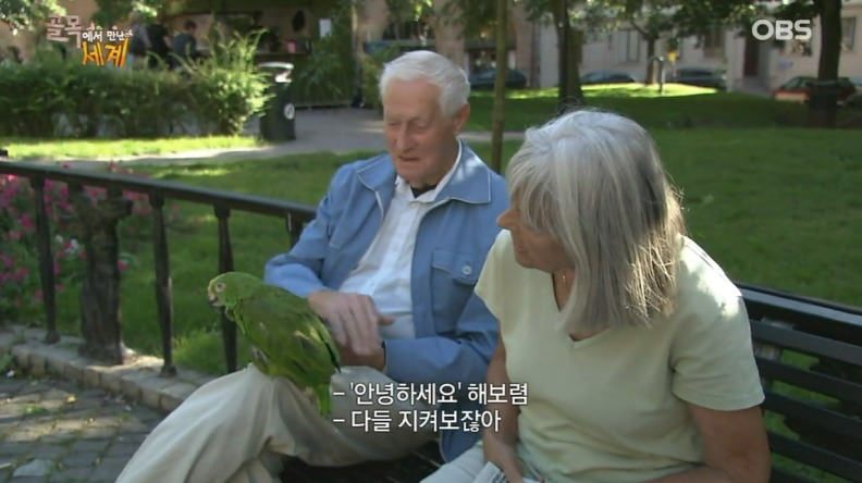 스웨덴 사람들의 평범한 일상 (개지루함 주의......) | 인스티즈