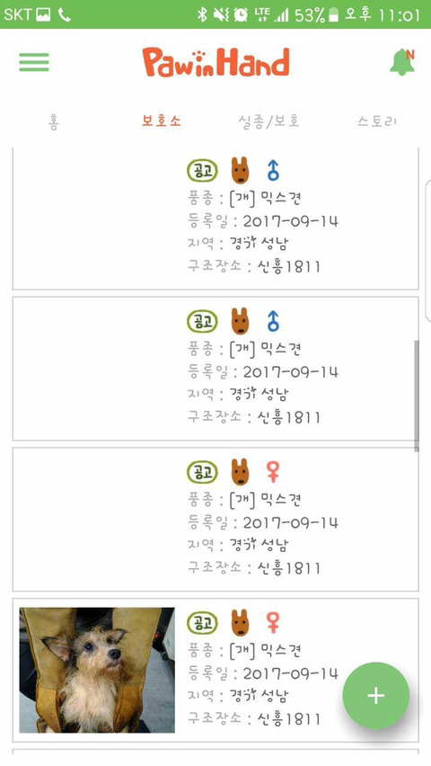 안락사명단 강아지 고양이 너무많아 꼭 봐줘..ㅠㅠ | 인스티즈