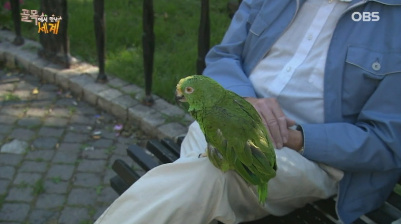 스웨덴 사람들의 평범한 일상 (개지루함 주의......) | 인스티즈