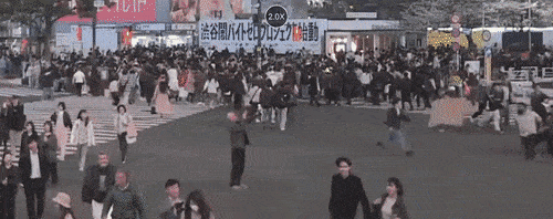 최근 발생한 일본 '시부야 교차로 방화범'曰 "일본의 현상황을 알리고 싶었다" 진술 | 인스티즈