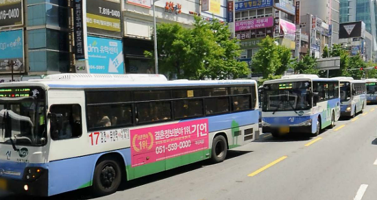 시내버스들이 난폭한 것으로 유명하다는 도시들 | 인스티즈