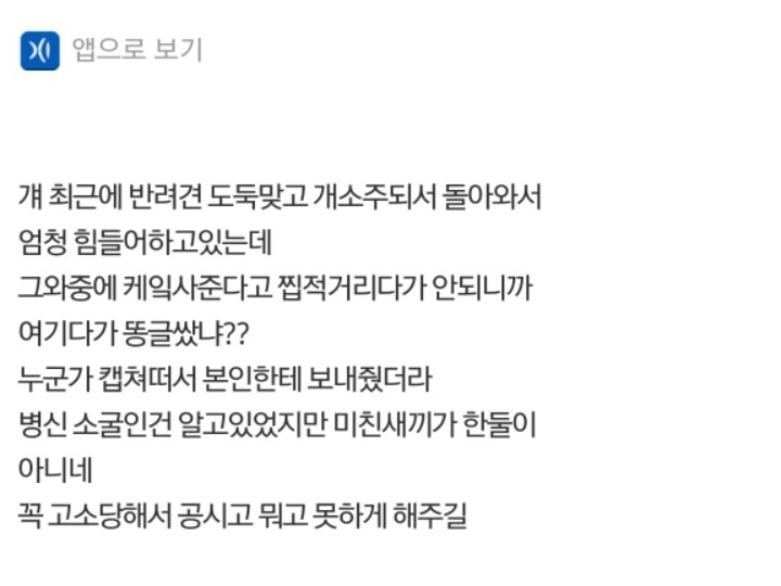 나의 반려견 매실이가 개소주가 되어 돌아온것을 알리니 사람들은 나를 개소주녀 라고 부릅니다 | 인스티즈