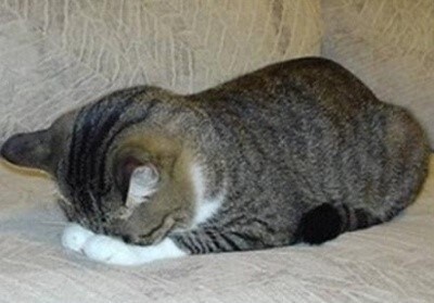 엉덩이주사맞는자세논란.twt | 인스티즈