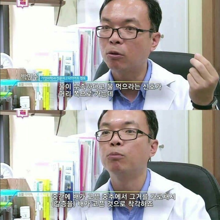 다이어트 성공 필수 팁 | 인스티즈