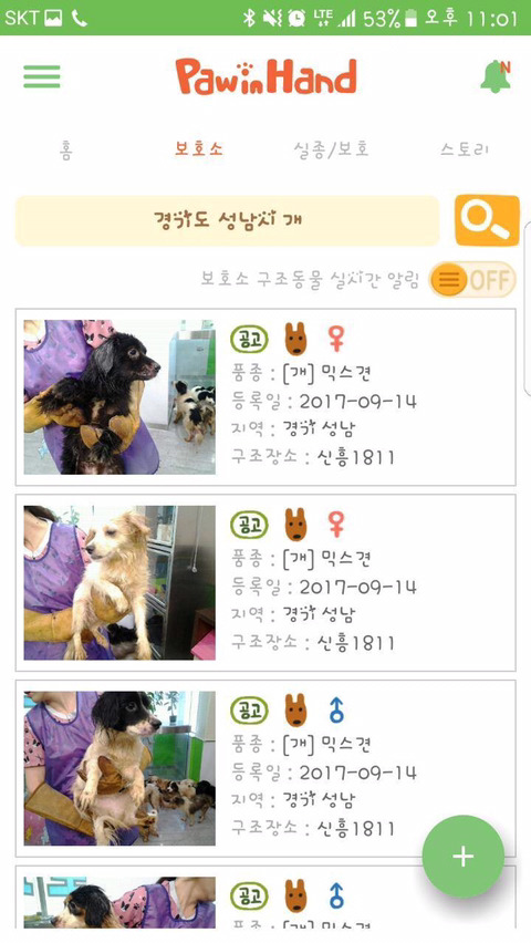 안락사명단 강아지 고양이 너무많아 꼭 봐줘..ㅠㅠ | 인스티즈
